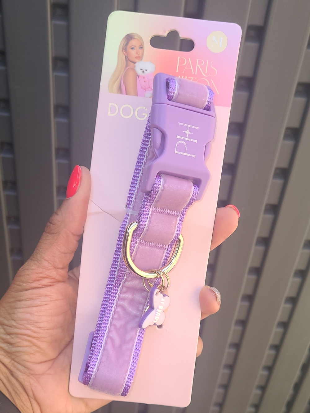 Paris Hilton Lavender Dog Collar with Charms - Purple Lilac - Size M